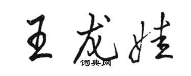 骆恒光王龙娃行书个性签名怎么写