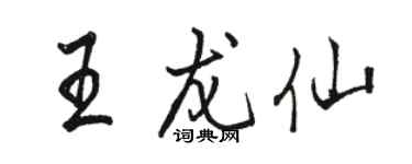 骆恒光王龙仙行书个性签名怎么写