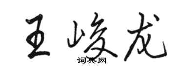 骆恒光王峻龙行书个性签名怎么写