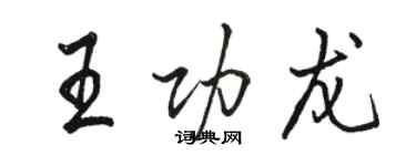 骆恒光王功龙行书个性签名怎么写