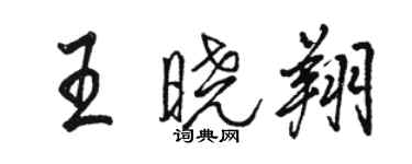 骆恒光王晓翔行书个性签名怎么写