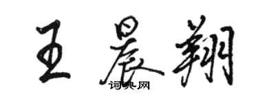 骆恒光王晨翔行书个性签名怎么写