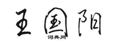骆恒光王国阳行书个性签名怎么写