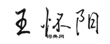 骆恒光王怀阳行书个性签名怎么写