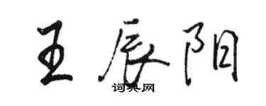 骆恒光王辰阳行书个性签名怎么写