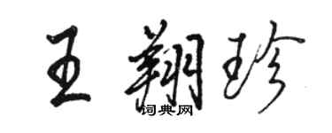 骆恒光王翔珍行书个性签名怎么写