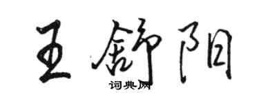 骆恒光王舒阳行书个性签名怎么写