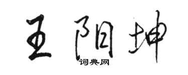 骆恒光王阳坤行书个性签名怎么写
