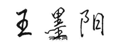 骆恒光王墨阳行书个性签名怎么写