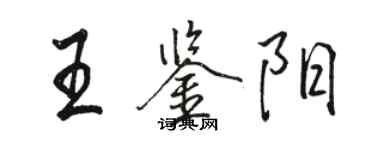 骆恒光王鉴阳行书个性签名怎么写