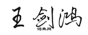 骆恒光王剑鸿行书个性签名怎么写
