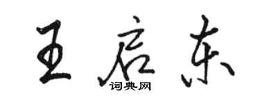 骆恒光王启东行书个性签名怎么写