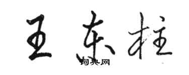 骆恒光王东柱行书个性签名怎么写