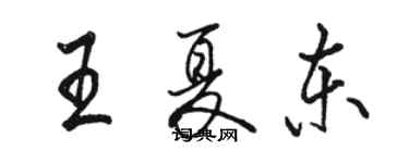 骆恒光王夏东行书个性签名怎么写