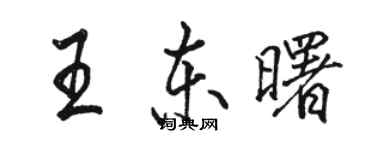 骆恒光王东曙行书个性签名怎么写