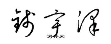 梁锦英钱宇泽草书个性签名怎么写
