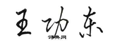 骆恒光王功东行书个性签名怎么写