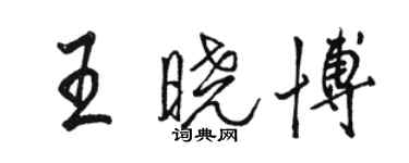 骆恒光王晓博行书个性签名怎么写