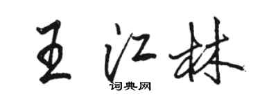 骆恒光王江林行书个性签名怎么写