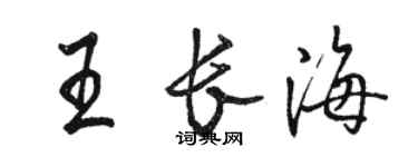 骆恒光王长海行书个性签名怎么写