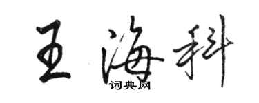 骆恒光王海科行书个性签名怎么写