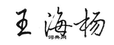 骆恒光王海杨行书个性签名怎么写