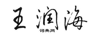骆恒光王润海行书个性签名怎么写