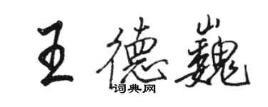 骆恒光王德巍行书个性签名怎么写