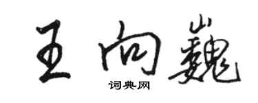 骆恒光王向巍行书个性签名怎么写