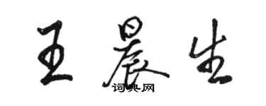 骆恒光王晨生行书个性签名怎么写