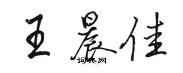 骆恒光王晨佳行书个性签名怎么写
