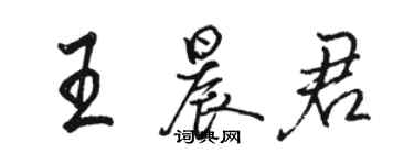 骆恒光王晨君行书个性签名怎么写