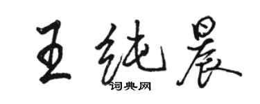 骆恒光王纯晨行书个性签名怎么写