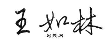 骆恒光王如林行书个性签名怎么写