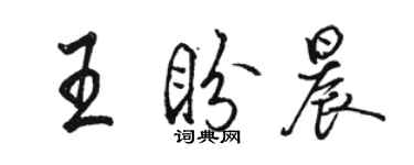 骆恒光王盼晨行书个性签名怎么写