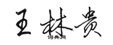 骆恒光王林贵行书个性签名怎么写
