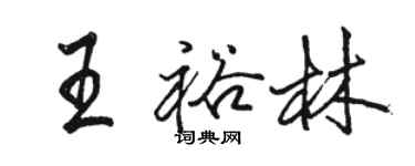 骆恒光王裕林行书个性签名怎么写