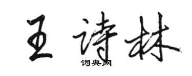 骆恒光王诗林行书个性签名怎么写
