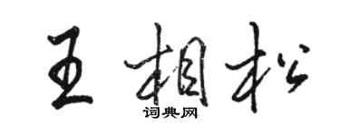 骆恒光王相松行书个性签名怎么写