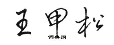 骆恒光王甲松行书个性签名怎么写