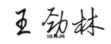 骆恒光王劲林行书个性签名怎么写