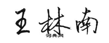 骆恒光王林南行书个性签名怎么写