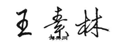 骆恒光王素林行书个性签名怎么写