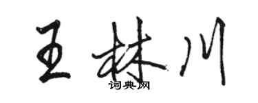 骆恒光王林川行书个性签名怎么写