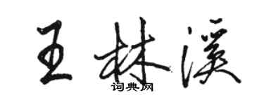 骆恒光王林溪行书个性签名怎么写