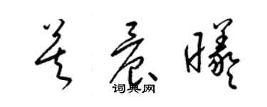 梁锦英莫晨曦草书个性签名怎么写