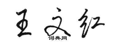 骆恒光王文红行书个性签名怎么写