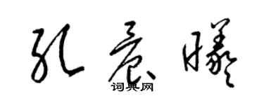 梁锦英孔晨曦草书个性签名怎么写