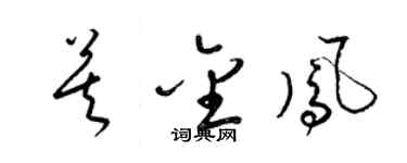 梁锦英莫金凤草书个性签名怎么写
