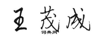 骆恒光王茂成行书个性签名怎么写